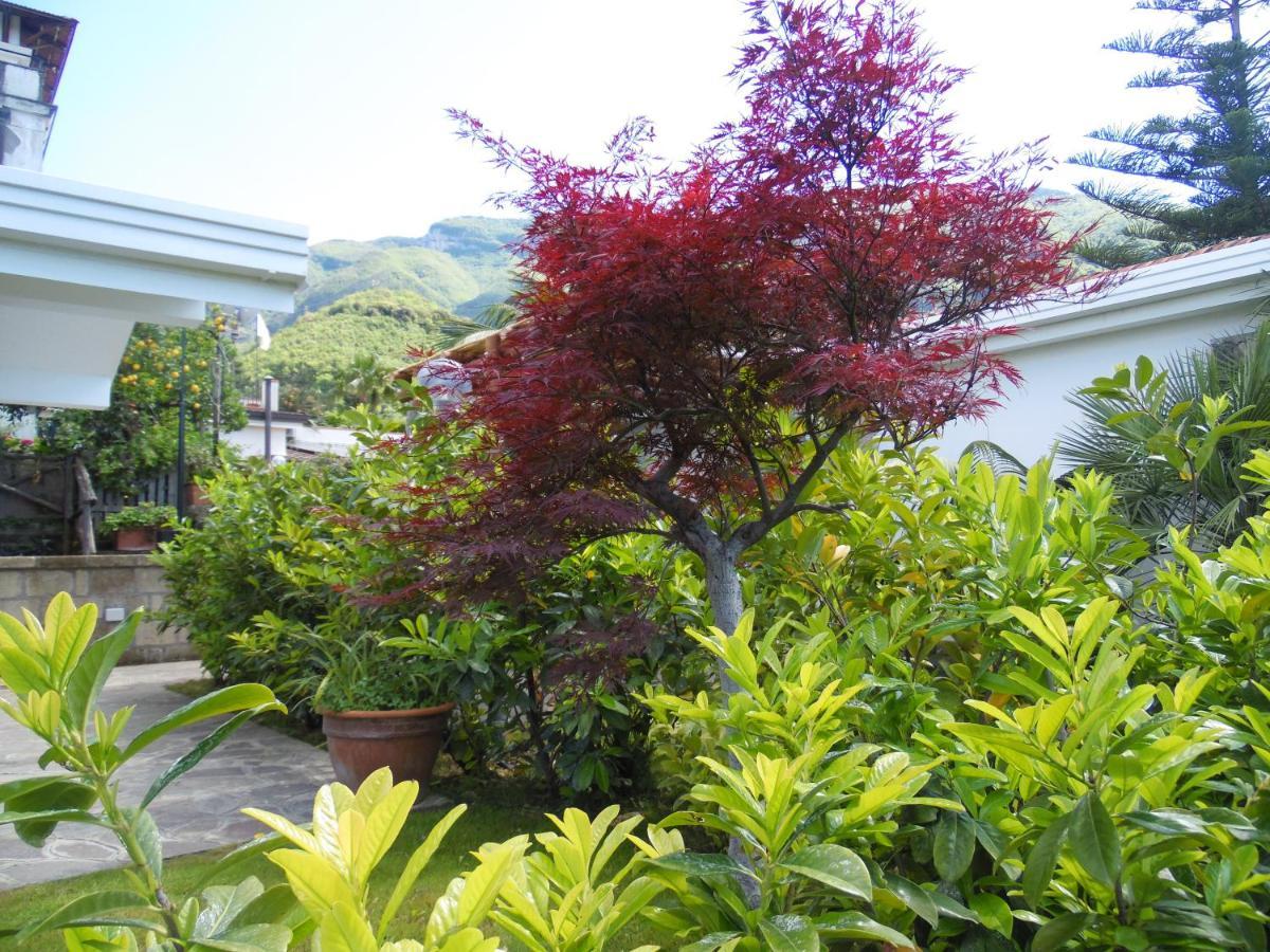 Villa Bianca 카스텔라마레디스타비아 외부 사진